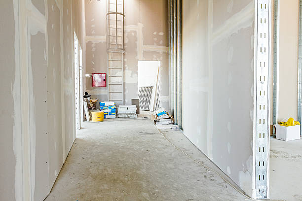Professional Mold Removal in Zwolle, LA